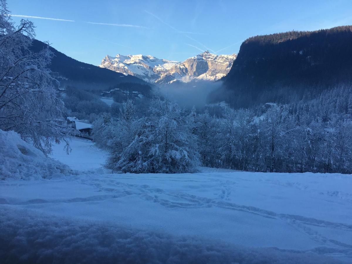 Vallee De Chamonix Au Pied Des Pistes *