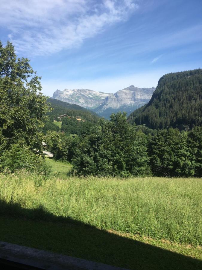 Vallee De Chamonix Au Pied Des Pistes * Les Houches